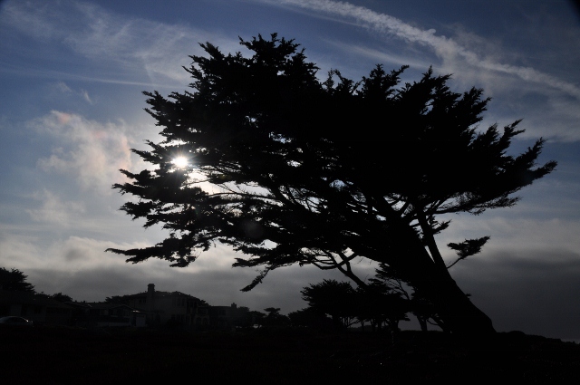 Pacific Grove